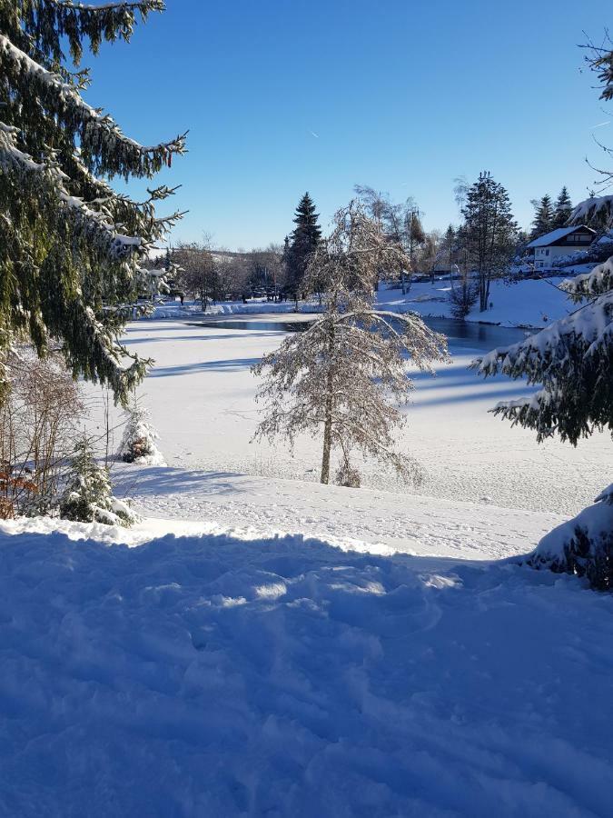 Jules Traum Im Schwarzwald Apartman Herrischried Kültér fotó