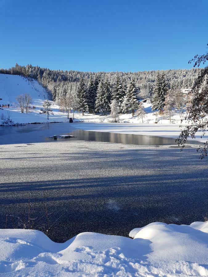 Jules Traum Im Schwarzwald Apartman Herrischried Kültér fotó